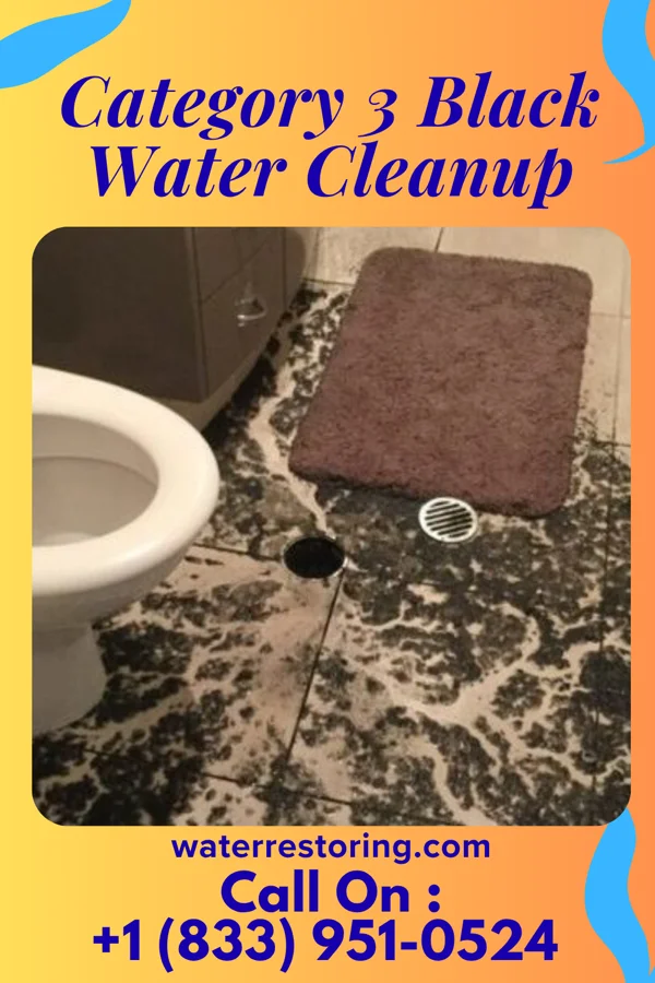 Category 3 Black Water Cleanup in Harmon, IL
